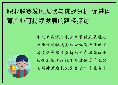 职业联赛发展现状与挑战分析 促进体育产业可持续发展的路径探讨